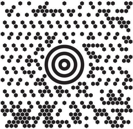 2d barcode - MaxiCode
