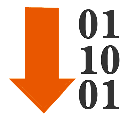 Variable data manager