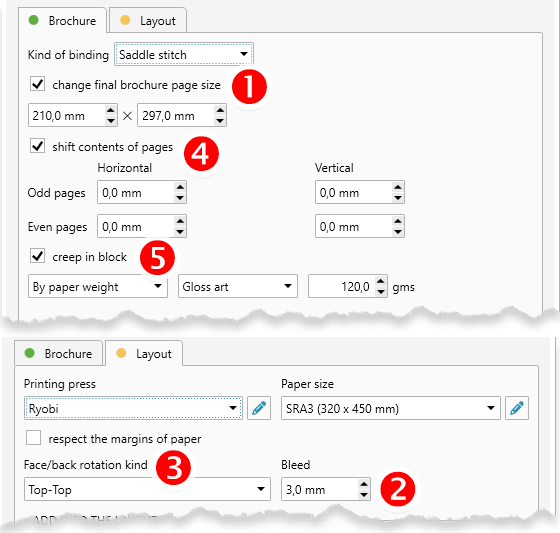 Brochure layout project options